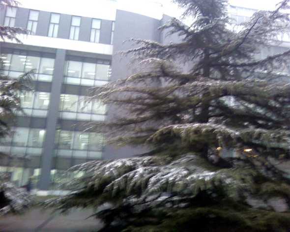 第一场雪