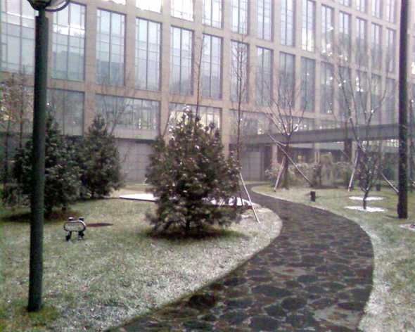 第一场雪