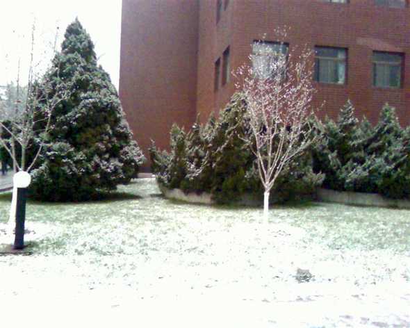 第一场雪