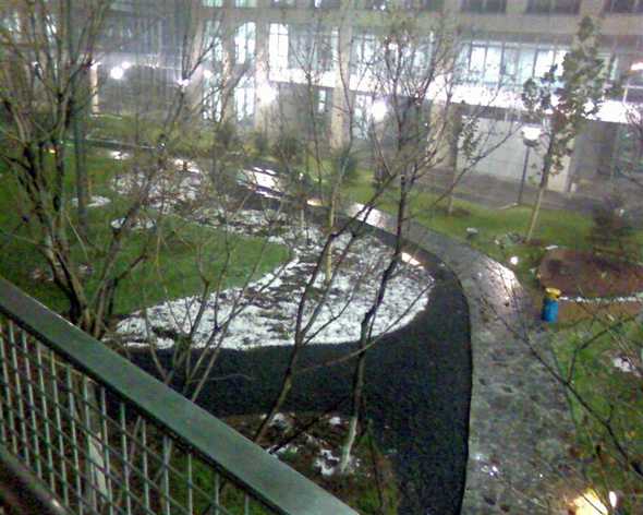 第一场雪
