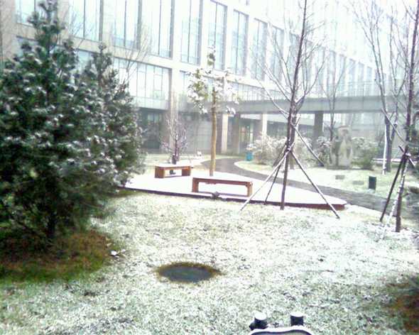 第一场雪